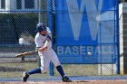 Baseball vs Amherst  Wheaton College Baseball vs Amherst College. - Photo By: KEITH NORDSTROM : Wheaton, baseball